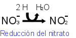 Respiraci&oacute;n con nitrato