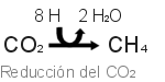 Respiraci&oacute;n con di&oacute;xido de carbono