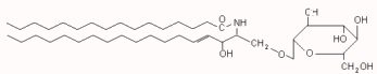 Glucoesfingol&iacute;pido