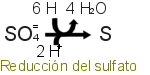 Respiraci&oacute;n con sulfato